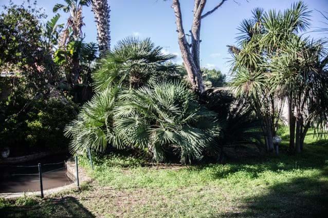 Casina Delle Arti Bed & Breakfast San Cataldo  Exterior photo